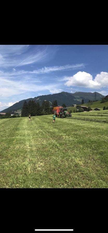 Schneiderhof Villa Weerberg Eksteriør billede